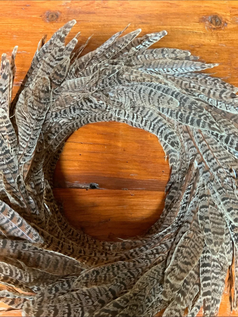 Decorative Pheasant Feather Holiday Wreath - Natural Brown